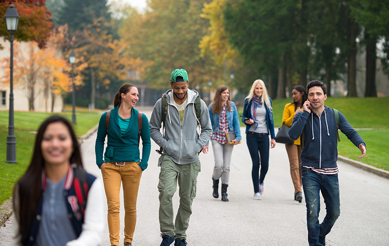  Group of Students walking through a campus