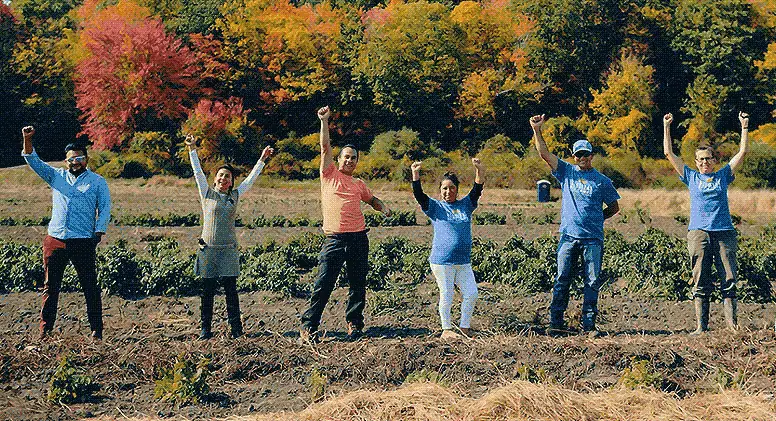 People in field raising their arms